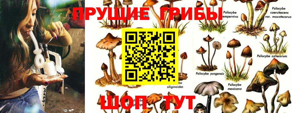 Псилоцибиновые грибы MAGIC MUSHROOMS  Галлюциногенные грибы прущие грибы  Реутов  Вход с VPN 